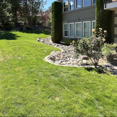Lawn Mowing