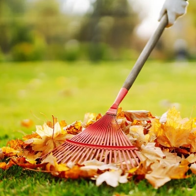 Yard Clean-Up